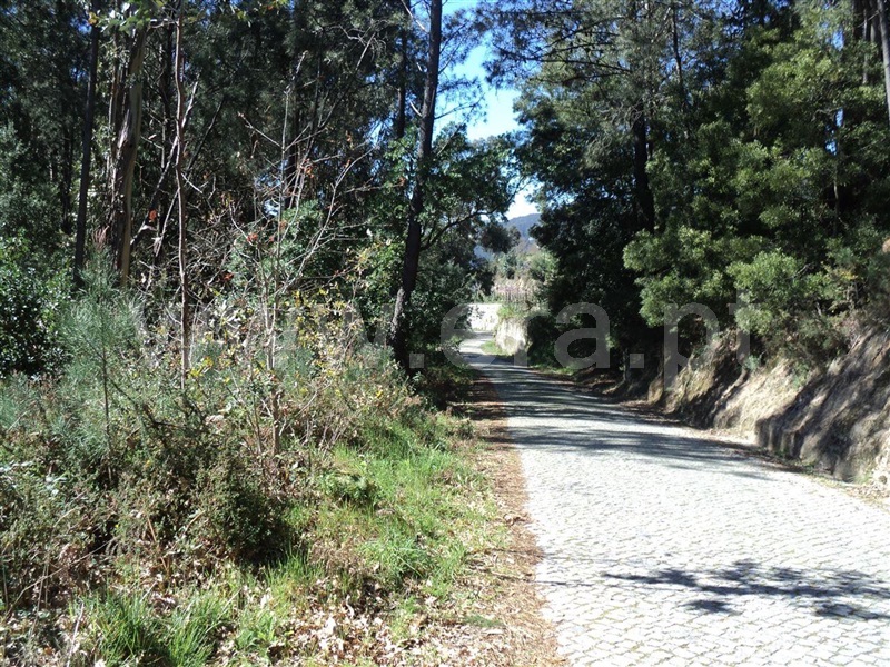 Terreno / Marco de Canaveses, Sande e São Lourenço