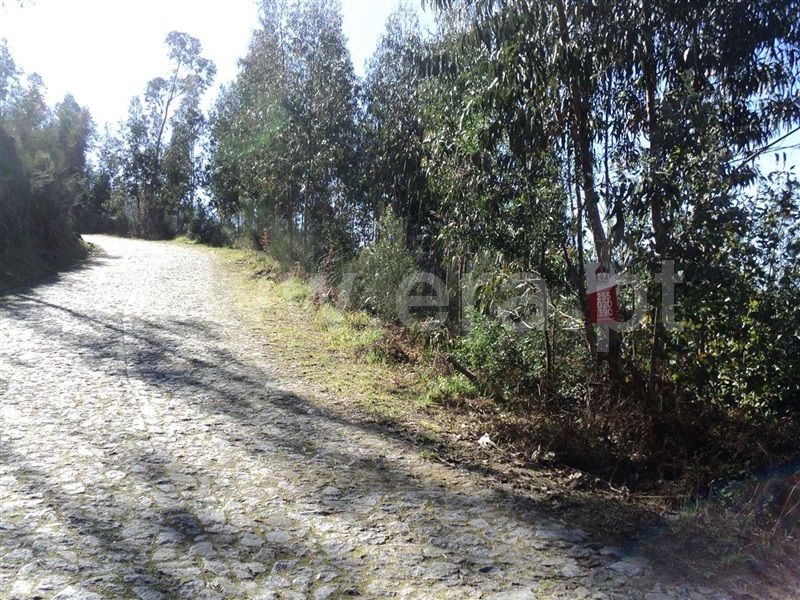 Terreno / Marco de Canaveses, Sande e São Lourenço