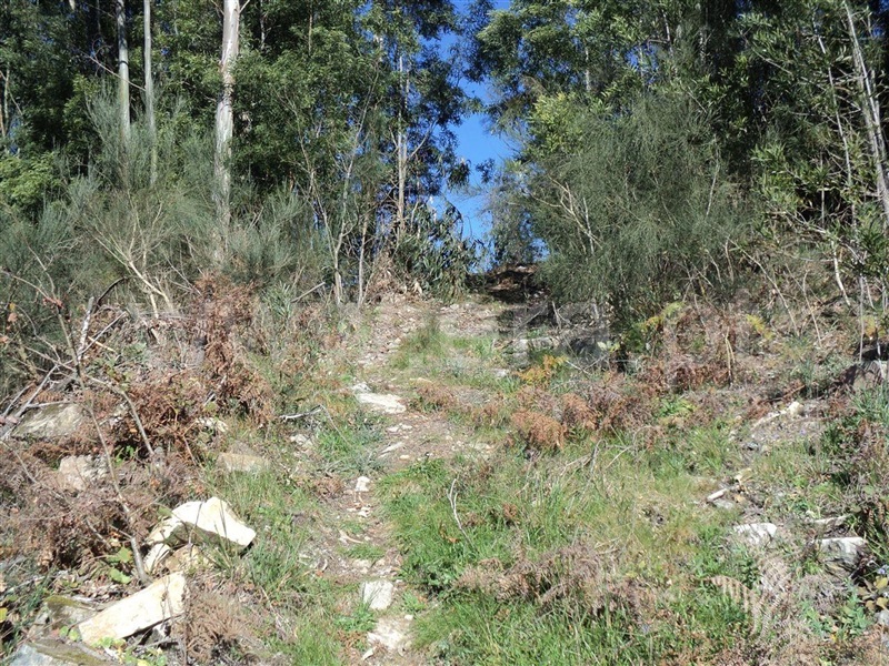 Terreno  Marco de Canaveses, Sande e São Lourenço - 1449163 - 2