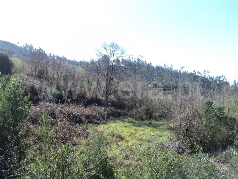 Terreno  Marco de Canaveses, Sande e São Lourenço - 1449163 - 3