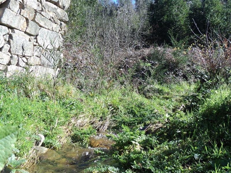Terreno  Marco de Canaveses, Sande e São Lourenço - 1449163 - 5