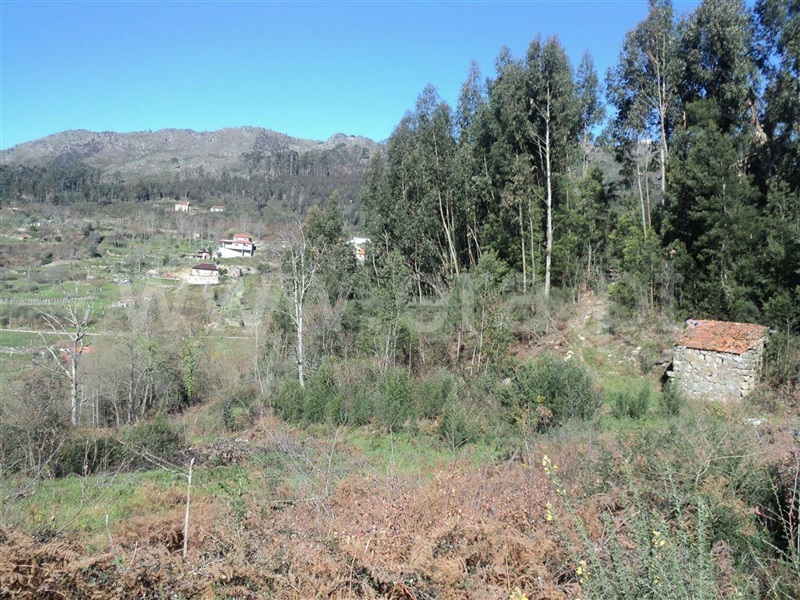 Terreno  Marco de Canaveses, Sande e São Lourenço - 1449163 - 6