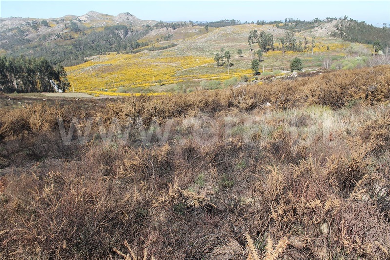 Terreno / Marco de Canaveses, Sande e São Lourenço