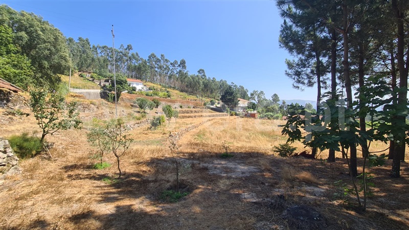 Terreno  Marco de Canaveses, São Lourenço do Douro - 1495744 - 16
