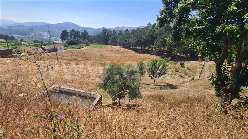 Terreno  Marco de Canaveses, São Lourenço do Douro - 1495744 - 20