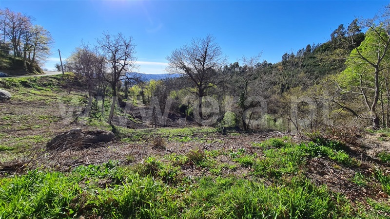 Terreno  Marco de Canaveses, Soalhães - 1072392 - 1