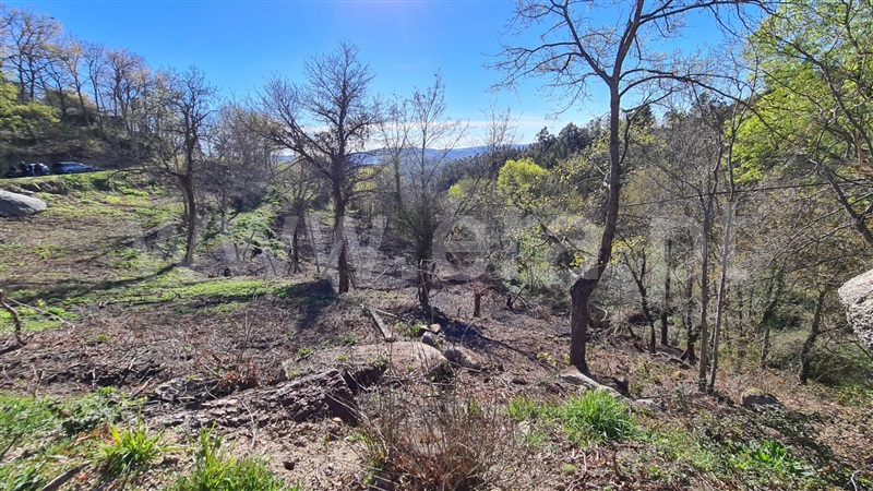 Terreno  Marco de Canaveses, Soalhães - 1072392 - 3