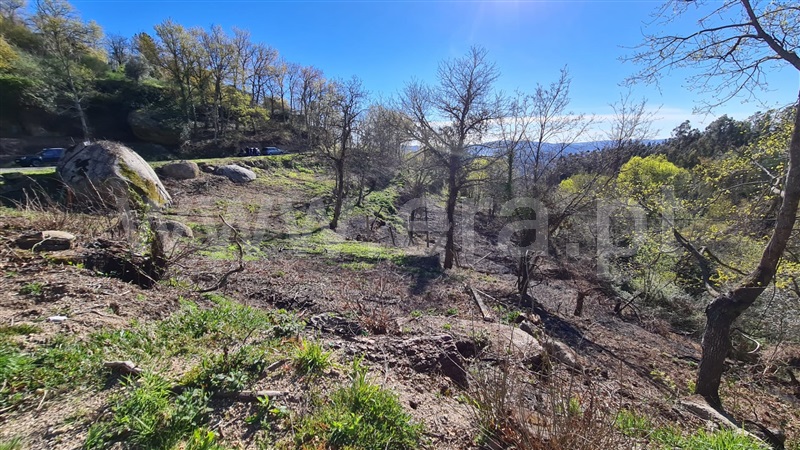 Terreno  Marco de Canaveses, Soalhães - 1072392 - 5