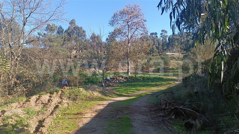Terreno  Marco de Canaveses, Soalhães - 1457208 - 8