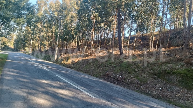 Terreno  Marco de Canaveses, Soalhães - 1457208 - 9