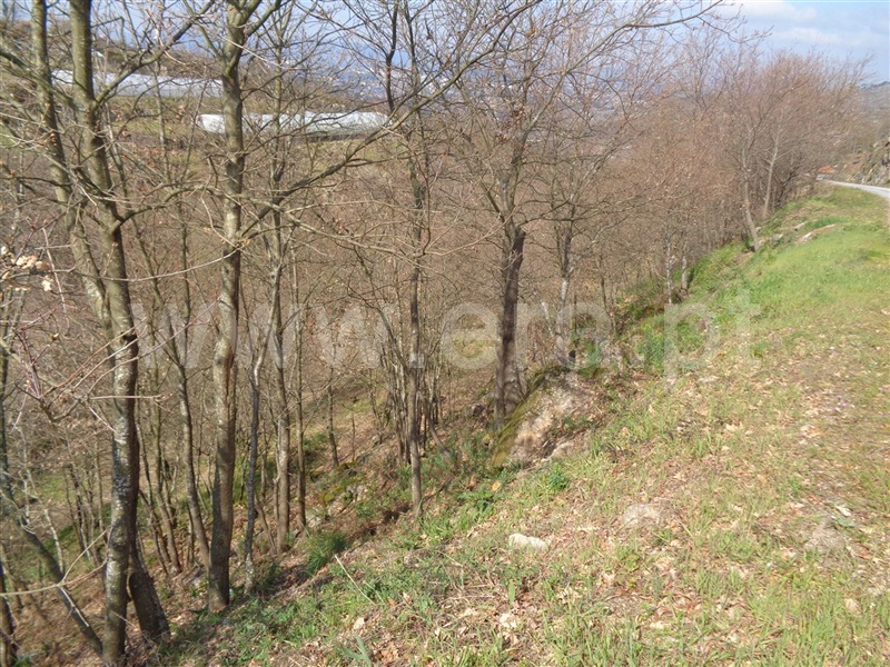 Terreno  Marco de Canaveses, Soalhães - 703619 - 3