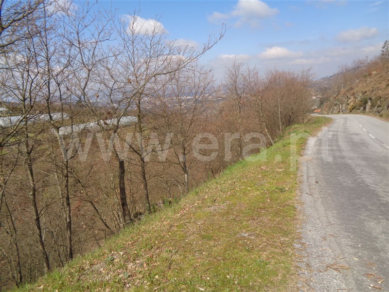 Terreno  Marco de Canaveses, Soalhães - 703619 - 4