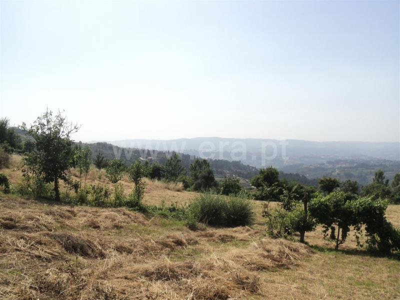 Terreno  Marco de Canaveses, Soalhães - 705837 - 6