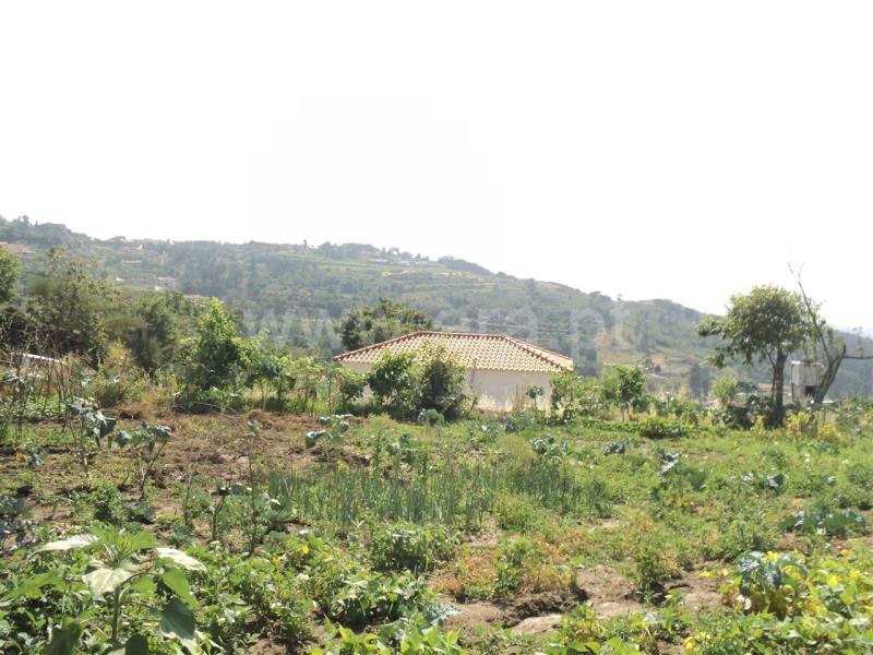 Terreno  Marco de Canaveses, Soalhães - 705837 - 17
