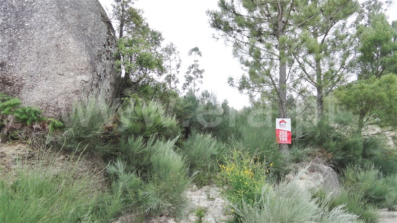 Terreno  Marco de Canaveses, Soalhães - 906359 - 4