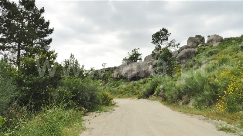 Terreno  Marco de Canaveses, Soalhães - 906359 - 8