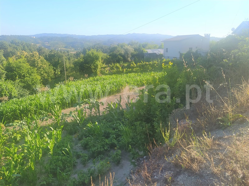 Terreno  Marco de Canaveses, Tabuado - 1228052 - 9