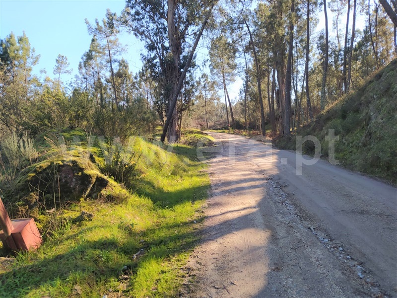 Terreno / Marco de Canaveses, Várzea, Aliviada e Folhada