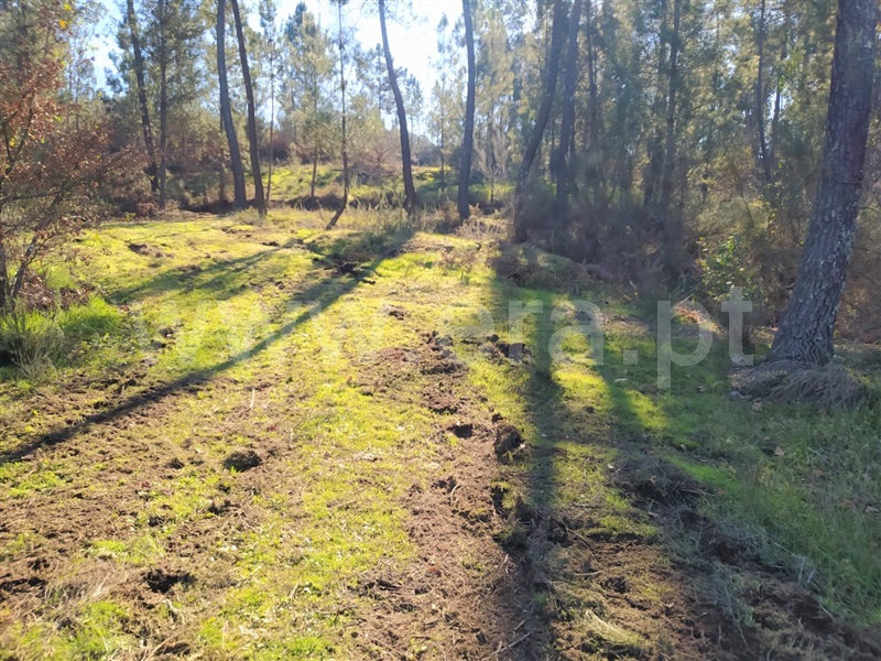 Terreno  Marco de Canaveses, Várzea, Aliviada e Folhada - 1303445 - 5