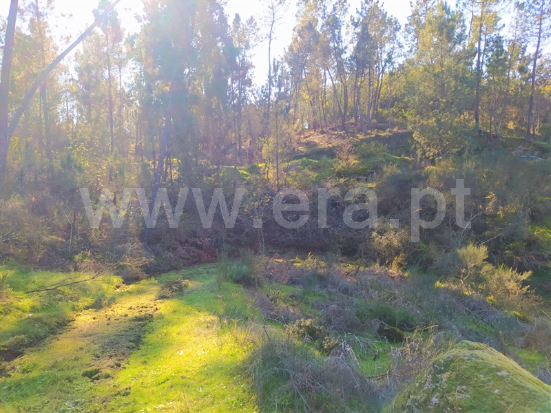 Terreno  Marco de Canaveses, Várzea, Aliviada e Folhada - 1303445 - 6