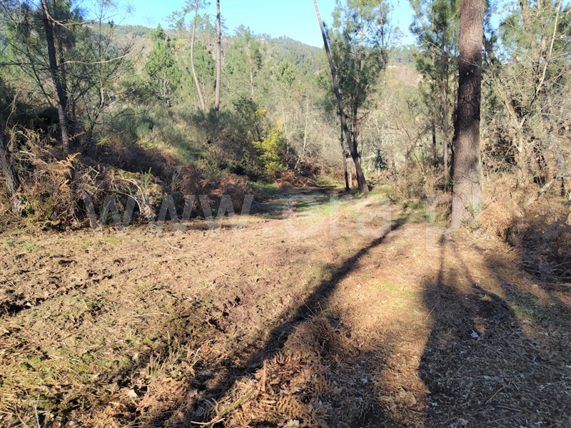 Terreno  Marco de Canaveses, Várzea, Aliviada e Folhada - 1303445 - 7
