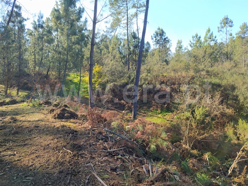 Terreno  Marco de Canaveses, Várzea, Aliviada e Folhada - 1303445 - 8