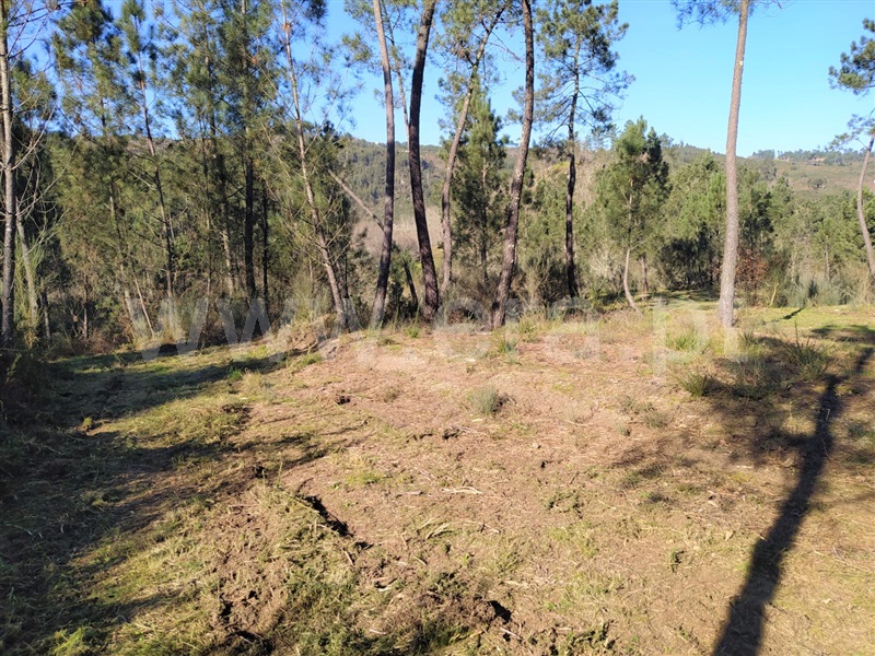 Terreno  Marco de Canaveses, Várzea, Aliviada e Folhada - 1303445 - 9