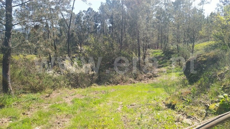 Terreno  Marco de Canaveses, Várzea, Aliviada e Folhada - 1303445 - 11