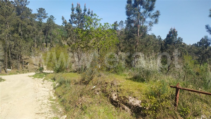 Terreno  Marco de Canaveses, Várzea, Aliviada e Folhada - 1303445 - 12