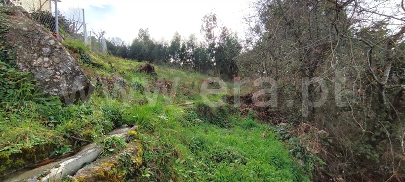Terreno  Marco de Canaveses, Várzea, Aliviada e Folhada - 1382183 - 1