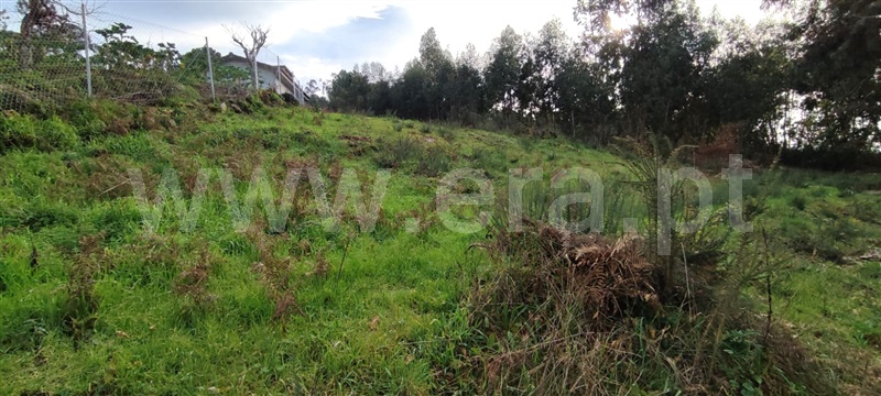 Terreno / Marco de Canaveses, Várzea, Aliviada e Folhada