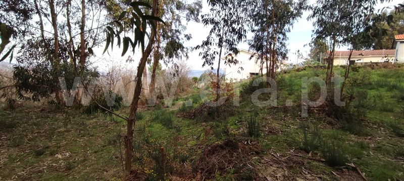 Terreno  Marco de Canaveses, Várzea, Aliviada e Folhada - 1382183 - 4
