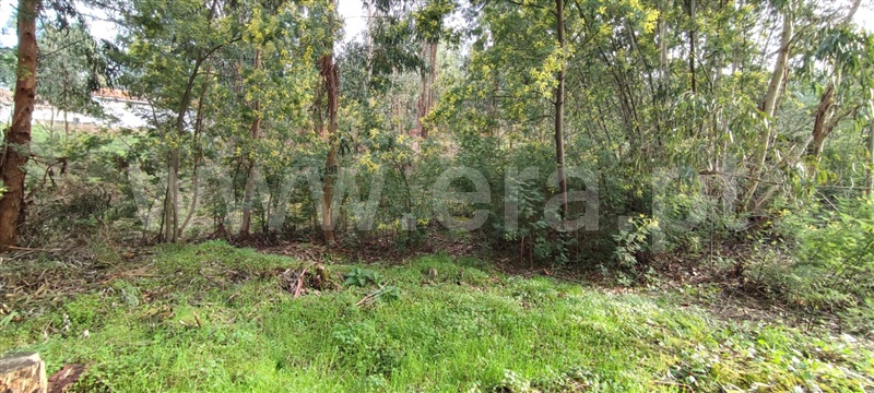 Terreno  Marco de Canaveses, Várzea, Aliviada e Folhada - 1382183 - 7