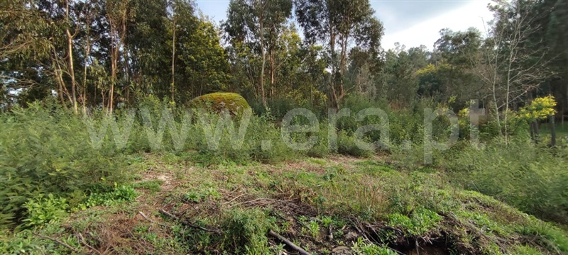 Terreno  Marco de Canaveses, Várzea, Aliviada e Folhada - 1382183 - 8