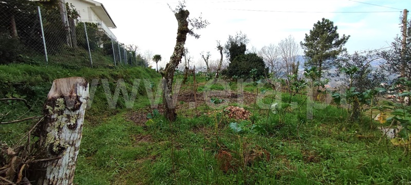 Terreno  Marco de Canaveses, Várzea, Aliviada e Folhada - 1382183 - 11