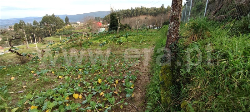 Terreno  Marco de Canaveses, Várzea, Aliviada e Folhada - 1382183 - 12