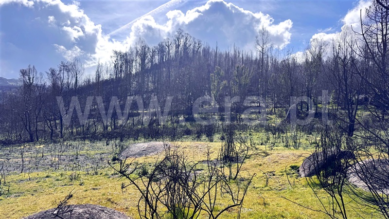 Terreno / Marco de Canaveses, Várzea, Aliviada e Folhada