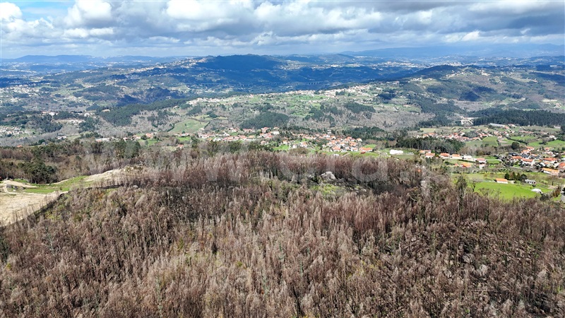 Terreno / Marco de Canaveses, Várzea, Aliviada e Folhada