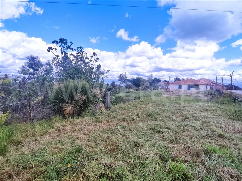 Terreno para Construção  Marco de Canaveses, Vila Boa de Quires e Maureles - 1244736 - 1