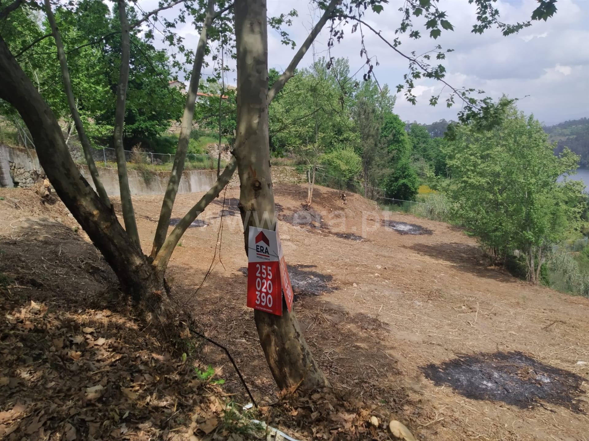 Terreno em Porto