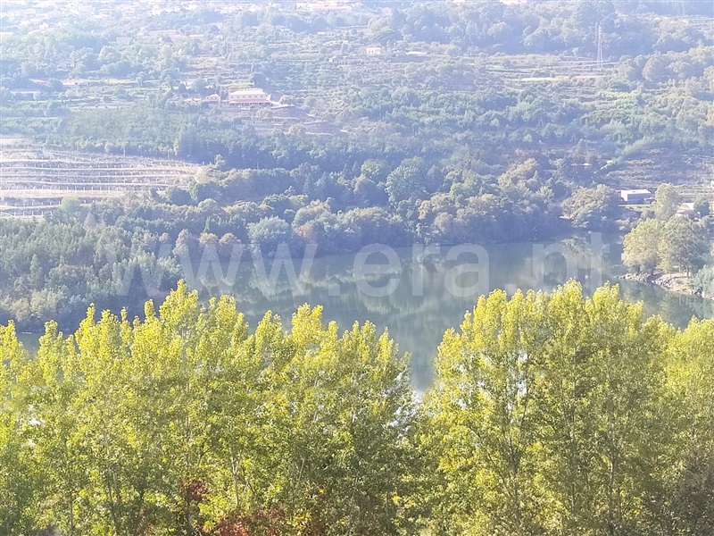Terreno  Marco de Canaveses, Vila Boa do Bispo - 1282405 - 8