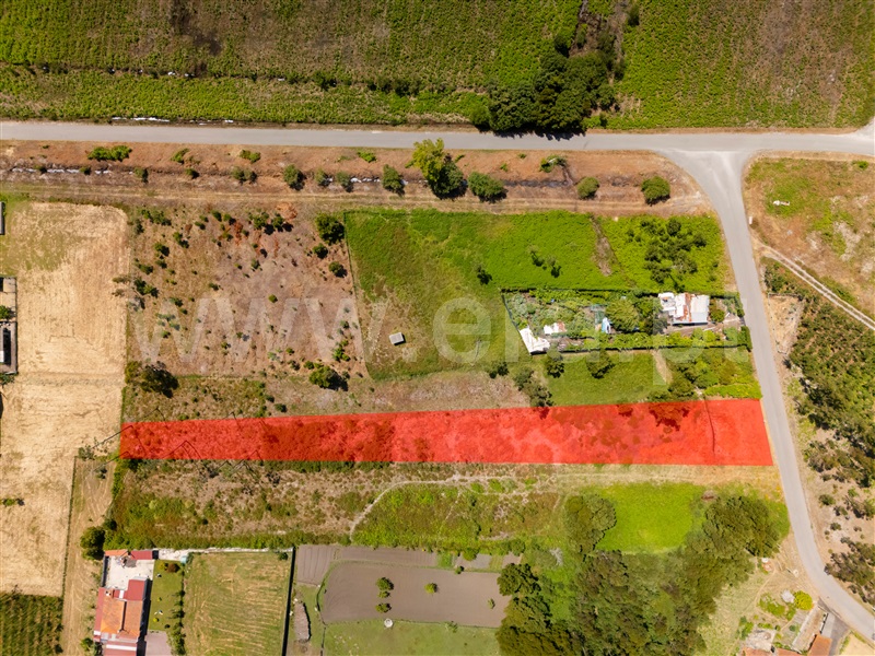 Terreno / Marinha Grande, Garcia