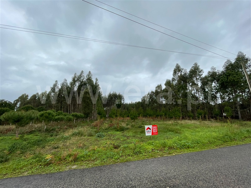 Terreno  Marinha Grande, Moita - 1356778 - 2