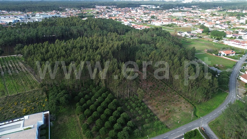 Terreno  Marinha Grande, Moita - 1356778 - 5