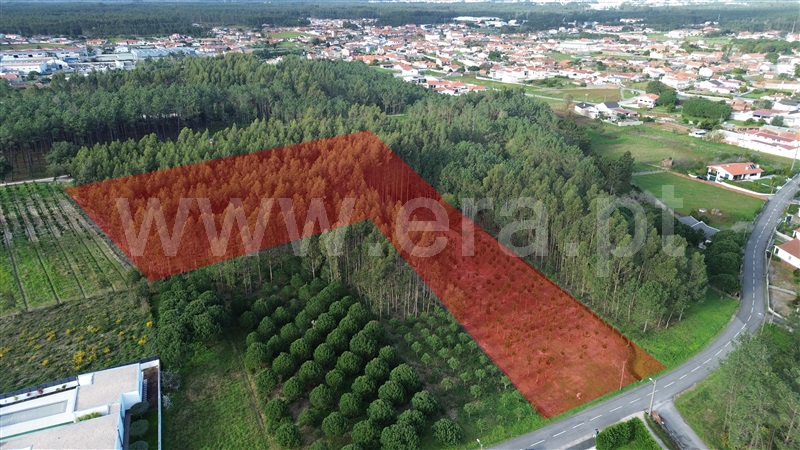 Terreno / Marinha Grande, Moita