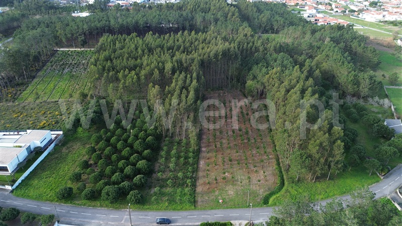 Terreno  Marinha Grande, Moita - 1356778 - 8