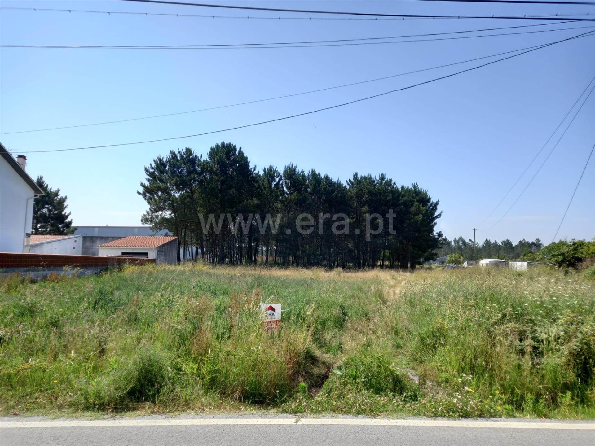 Land for sale in Marinha Grande, Portugal — €110,000