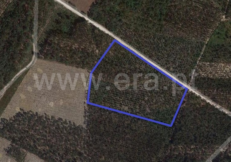 Terreno  Marinha Grande - 1164503 - 3