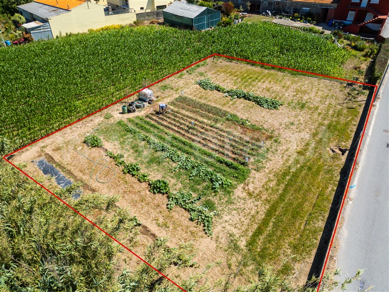 Terreno / Matosinhos, Lavra - Porto