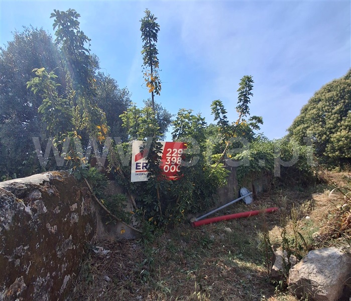 Terreno / Matosinhos, Perafita, Lavra e Santa Cruz do Bispo